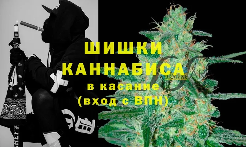 Шишки марихуана White Widow  закладка  Губаха 